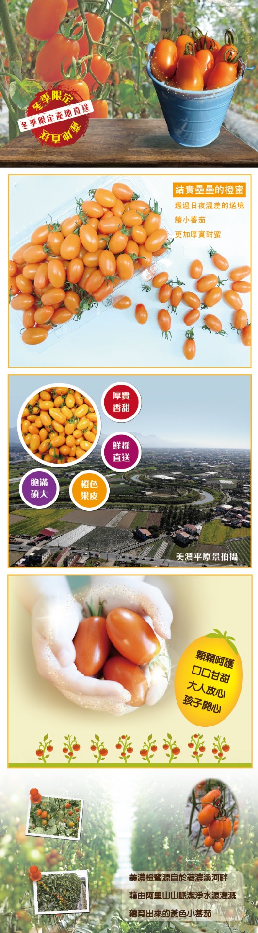 電商網購商品圖設計 / EDM設計